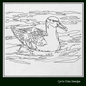 Shy Albatross Sketch Machine Embroidery Design – Bird Drawing, Duck in Water, 6 Sizes (1708)