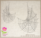 Spider Web Machine Embroidery Design – Line Art Halloween Web Embroidery, 8 Sizes (2403)