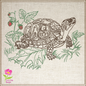 Turtle Machine Embroidery Design, Tortoise Sketch Embroidery Design, Redwork Line Art Animal Pattern, 4 Sizes (0444)