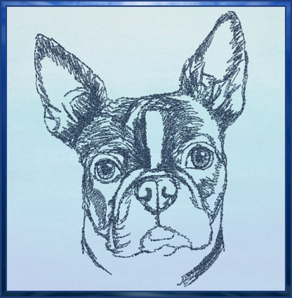 Boston Terrier Sketch Machine Embroidery Design – Pet Dog Line Art Pattern, Animal Embroidery, 4 Sizes (0506)