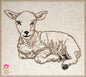 Little Lamb Machine Embroidery Sketch Design – Baby Farm Animal Line Art Embroidery Pattern, 6 Sizes (0529)
