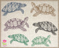 Sea Turtle Sketch Machine Embroidery Design Bundle – Redwork Line Art Sea Life, 2 Designs, 4 Sizes Each (0502)