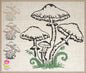 Mushroom Embroidery Design – Wild Mushroom Sketch – Garden Line Art Machine Embroidery File, 6 Sizes (0672)