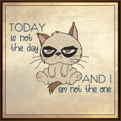 Today is Not The Day Machine Embroidery Design | Grumpy Cat Funny Saying | Sarcastic Humor Embroidery Quotes | 6 Sizes (0797)