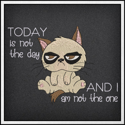 Today is Not The Day Machine Embroidery Design | Grumpy Cat Funny Saying | Sarcastic Humor Embroidery Quotes | 6 Sizes (0797)