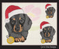 Christmas Dachshund Dog Embroidery Design – Dachshund in Santa Hat, 6 Sizes (1089)