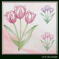 Tulips Embroidery Design | Sketched Floral Tulip Machine Embroidery Pattern | Delicate Flower Bunch in 6 Sizes (1943)