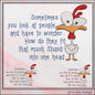 Fit That Much Stupid Machine Embroidery Design – Crazy Chicken Funny Quote, Snarky Cynical Saying, 6 Sizes (1725)