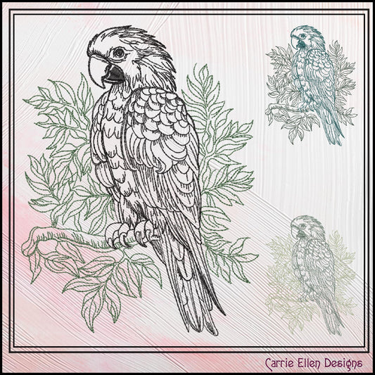 Parrot Sketch Machine Embroidery Design, Bird Line Art Machine Stitch Pattern, Artistic Tropical Bird, 6 Sizes (3022)