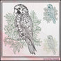 Parrot Sketch Machine Embroidery Design, Bird Line Art Machine Stitch Pattern, Artistic Tropical Bird, 6 Sizes (3022)