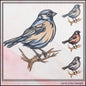 Bird Machine Embroidery Design | Sparrow on a Branch, Colorful Bluebird & Swallow Pattern | 6 Sizes (3162)