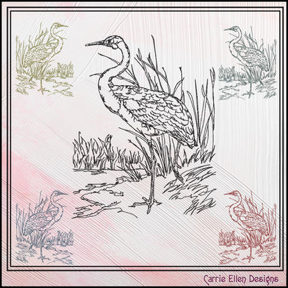 Bird Machine Embroidery Sketch Design, Australian Brolga Crane Thread Drawing, Wading Audubon Bird Pattern, 6 Sizes (3201)