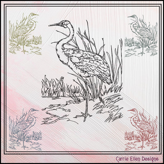 Bird Machine Embroidery Sketch Design, Australian Brolga Crane Thread Drawing, Wading Audubon Bird Pattern, 6 Sizes (3201)